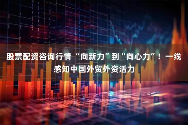 股票配资咨询行情 “向新力”到“向心力”!一线感知中国外贸外资活力