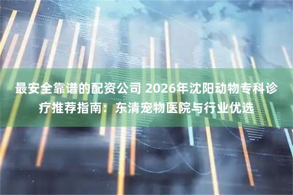 最安全靠谱的配资公司 2026年沈阳动物专科诊疗推荐指南：东清宠物医院与行业优选