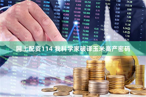 网上配资114 我科学家破译玉米高产密码